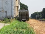 abandonded track leading to Grain Elevator